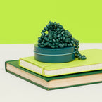 <strong>Why are there so many warnings on Crags and why are loose magnets considered to be dangerous?</strong>