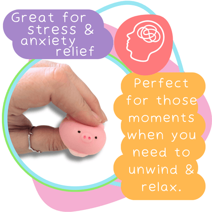 Squish-Amals_2489_3_88e9f910-cd4a-45f9-8124-edb048967366